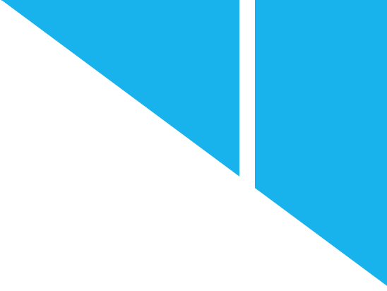 Vektor